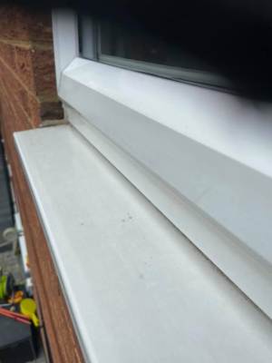 Premium Window and Exterior Cleaning