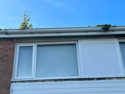 commercial window cleaning